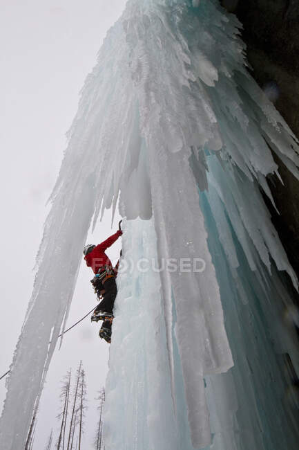 Льодовиковий скелелаз у Банф національному парку поблизу Банф (Альберта, Канада).. — стокове фото
