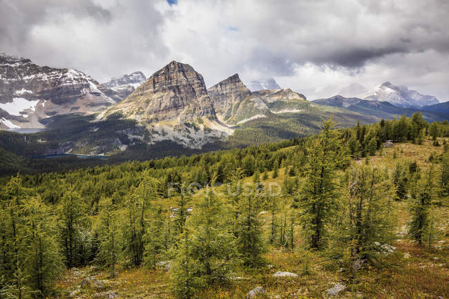 Pics de Pharaon et de la forêt dans la région du lac de l’Egypte du Parc National Banff, Alberta, Canada. — Photo de stock