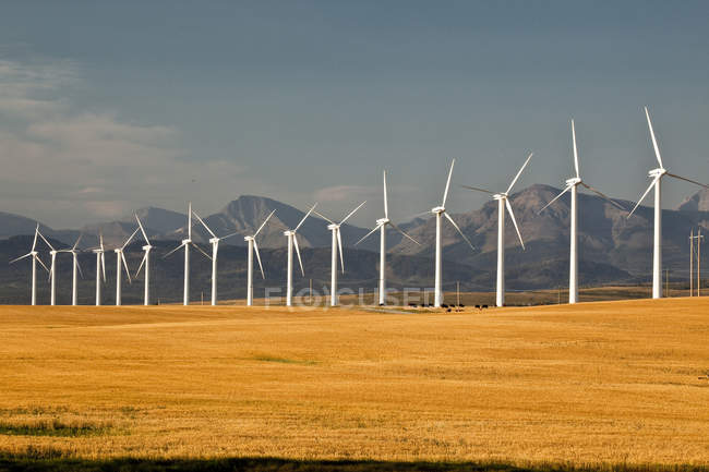 Moulins à vent générateurs d'électricité dans la prairie de Pincher Creek, Alberta, Canada
. — Photo de stock