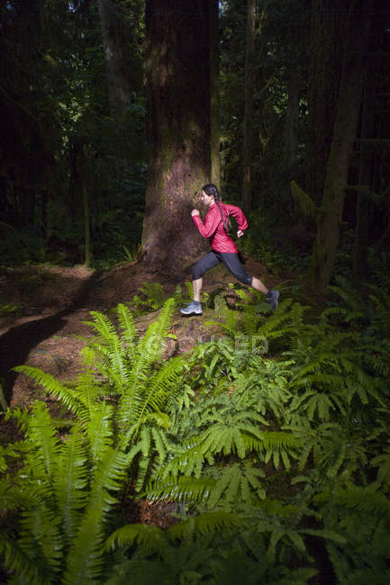 Female trail runner in giant cedars in Cathedral Grove Provincial Park, Vancouver Island, British Columbia, Canada — Stock Photo