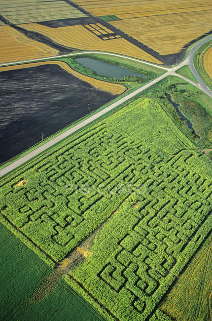 Vue aérienne du labyrinthe de maïs vert du Manitoba, Canada . — Photo de stock