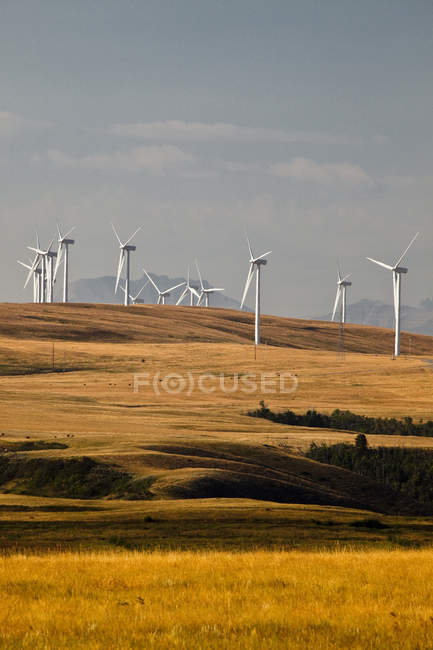 Moinhos de vento geradores de energia perto de Pincher Creek, Alberta, Canadá
. — Fotografia de Stock