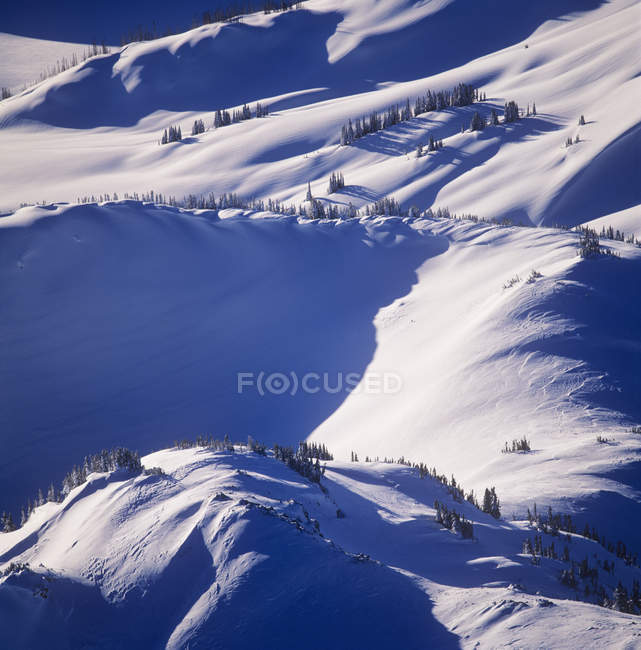 Subalpine Wiesen im Winter, Garibaldi Provinzpark, Britische Kolumbia, Kanada. — Stockfoto