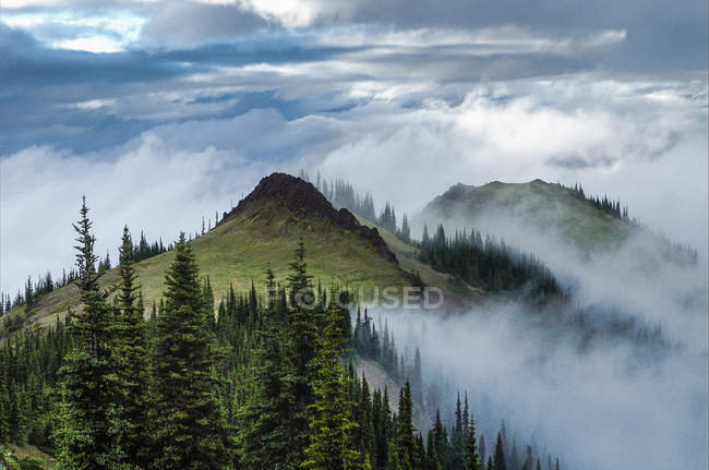 Nube sembrada de cresta de montaña de Deer Park, Parque Nacional Olímpico, Washington, EE.UU. - foto de stock