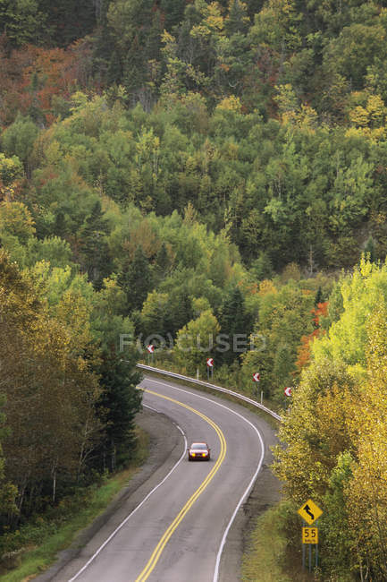 Paseo en coche por la carretera Park en el bosque en la península de Gaspe, Parque Nacional Forillon, Quebec, Canadá . - foto de stock