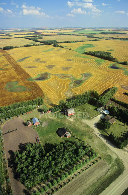 Воздушная сельская местность Саскачеван, Канада . — стоковое фото