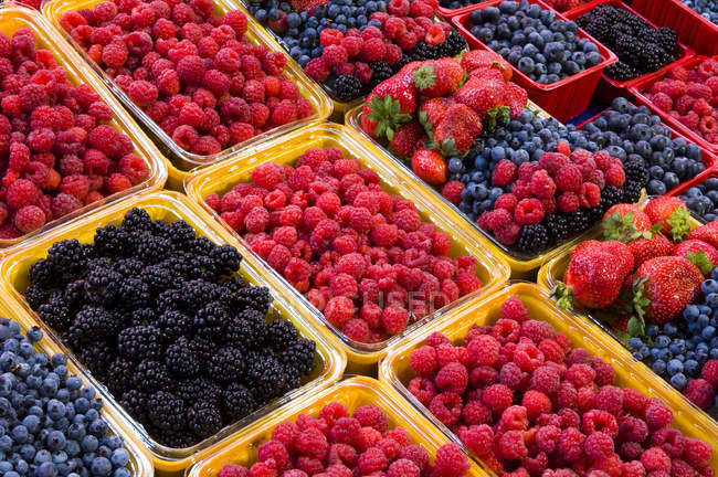 Свіжі ягоди на виставці на ринку, повна рамка . — стокове фото