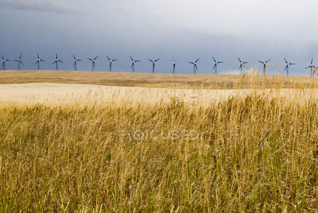Cielo tempestoso e turbine presso il parco eolico vicino Pincher Creek, Alberta, Canada — Foto stock