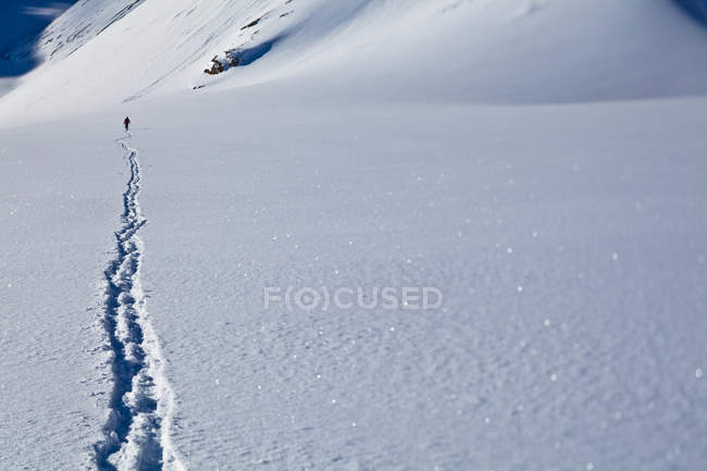 Mann skitouren entlang peter lougheed provincial park, kananaskis, alberta, canada — Stockfoto