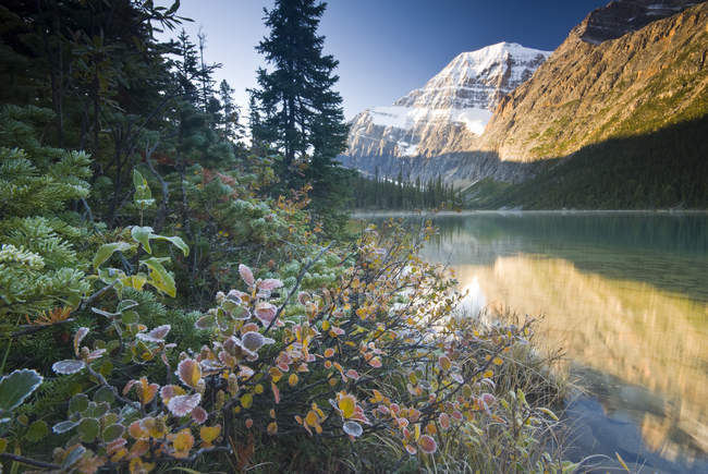 Mount Edith Cavell reflecting in Cavell Lake in Jasper National Park, Alberta, Canada. — Stock Photo