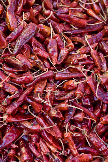 Getrocknete Chilischoten auf dem Markt, Nahaufnahme — Stockfoto