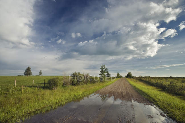 Сільська дорога біля Кокрановского, Альберта, Канада — стокове фото