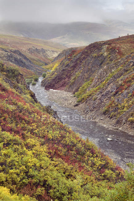 Gebirgsbach im nebligen Grabstein Territorialpark, Yukon Territorium, Kanada — Stockfoto