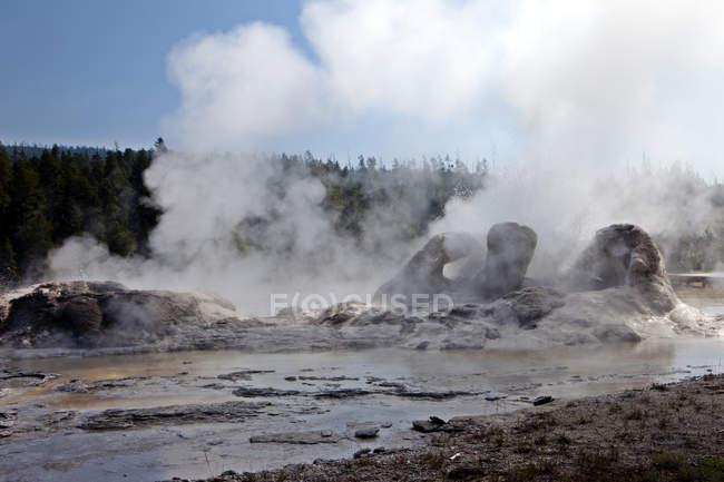 Grotto Geyser of Upper Geyser Basin in Yellowstone National Park, Wyoming, États-Unis — Photo de stock