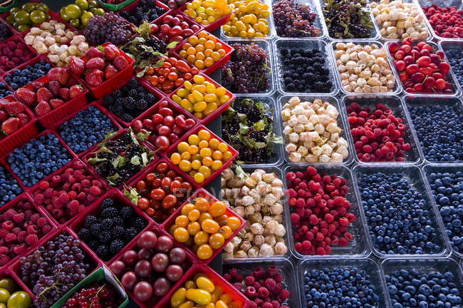 Frische Beeren auf dem Markt, vollständiger Rahmen. — Stockfoto
