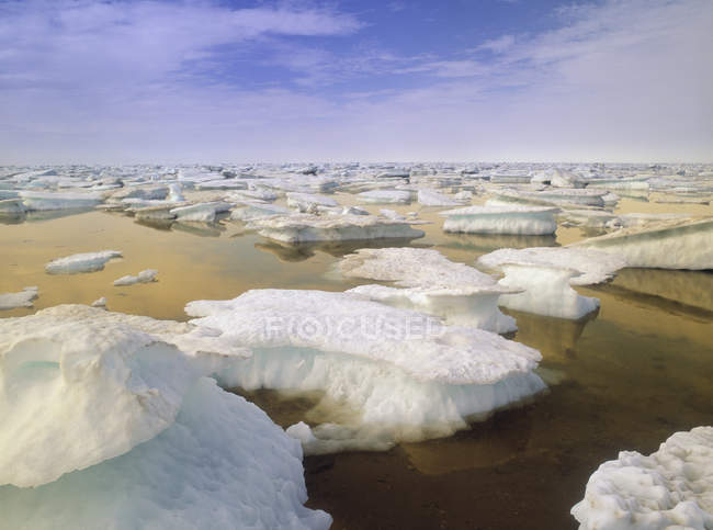 Icebergs in Bird Cove by Hudson Bay, Churchill, Manitoba, Canadá - foto de stock