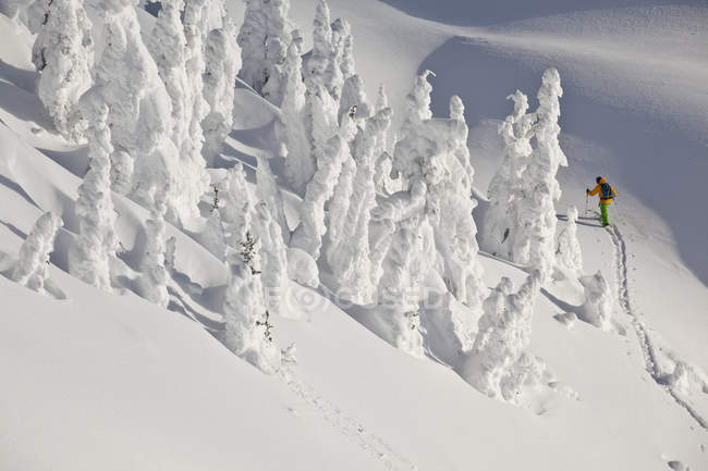 Чоловічий беккантрі сноубордист skinning беккантрі на Revelstoke гірський курорт, Revelstoke, Канада — стокове фото