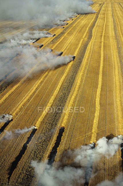 Aerial view of residual crops burning in Manitoba, Canada. — Stock Photo