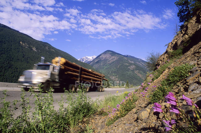 Holztransporter bewegt sich durch Biegebereich, Britisch Columbia, Kanada. — Stockfoto