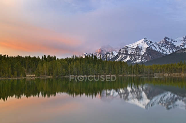 Herbert Lake reflejando árboles forestales y montañas de la cordillera del arco, Parque Nacional Banff, Alberta, Canadá - foto de stock