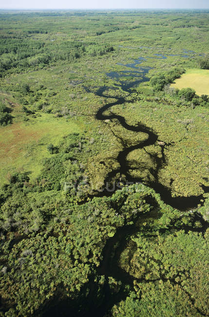Vue aérienne des terres humides du parc provincial Sprucewood, Manitoba, Canada . — Photo de stock