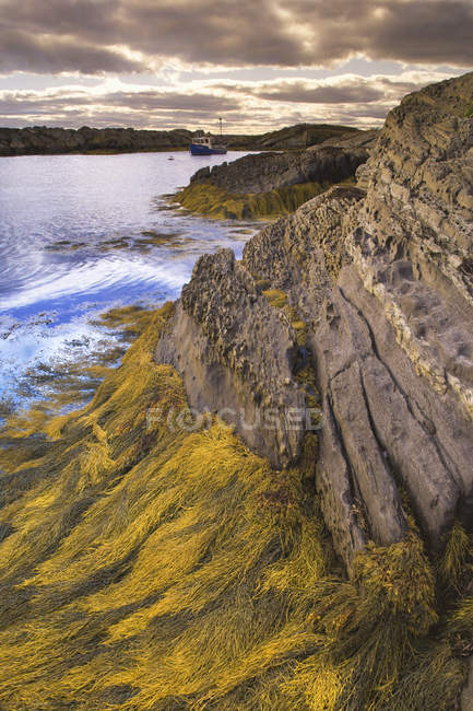 Blue Rocks y la costa cubierta de hierba en Nueva Escocia, Canadá . - foto de stock