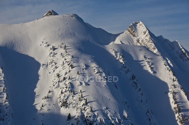 Mountain of Kicking Horse Resort and backcountry snowboarder riding steep line, Golden, Colombie-Britannique, Canada — Photo de stock