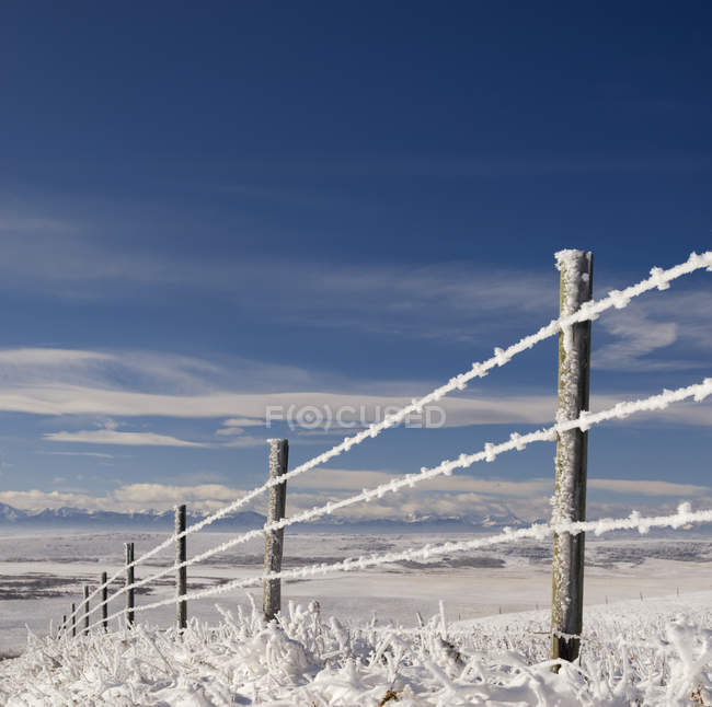 Frosted fence in snow field near Cochrane, Alberta, Canada. — Stock Photo