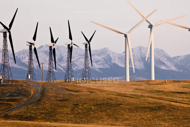 Turbinas eólicas cerca de Pincher Creek, Alberta, Canadá . - foto de stock