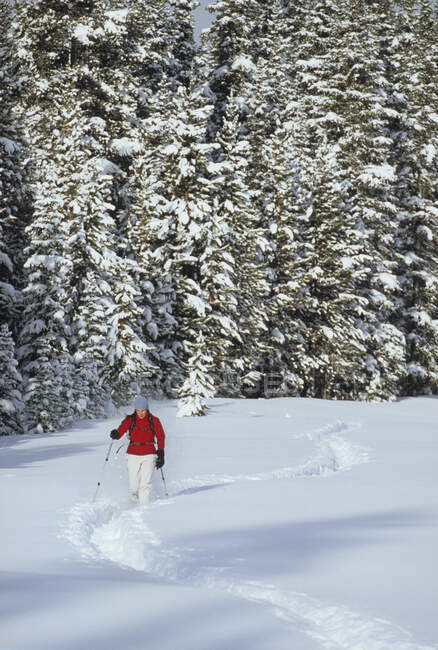 Una joven raqueta de nieve disfrutando de una caminata de invierno por la mañana en Kananaskis Country, Alberta, Canadá - foto de stock