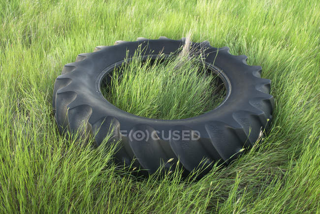 Tractor tire with green grass, close-up — Stock Photo