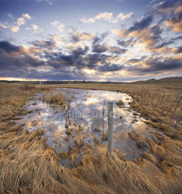 Zaun und Quellschmelzwasser auf der Weide in der Nähe von Cochrane, Alberta, Kanada. — Stockfoto