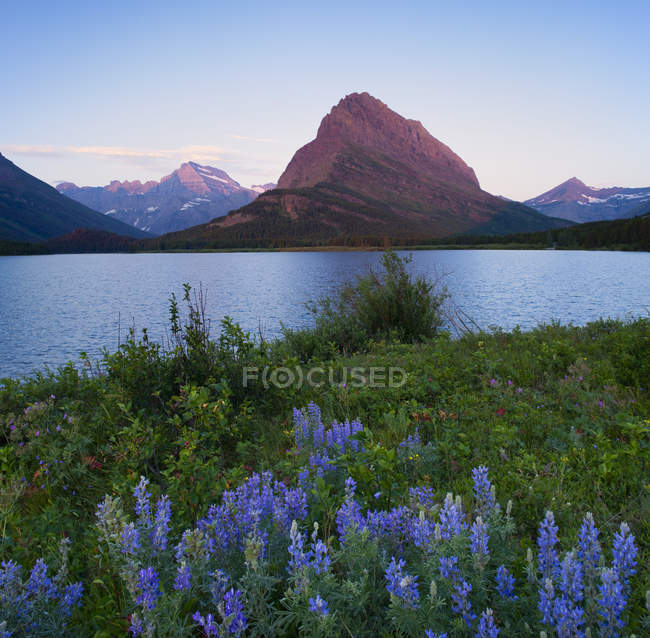 Sonnenaufgang über Grinnell Point und Swiftcurrent Lake, Glacier National Park, Montana, USA. — Stockfoto