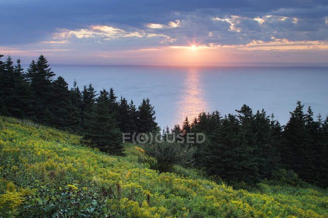Cape George Point in Nova Scotia at sunset, Canada. — Stock Photo