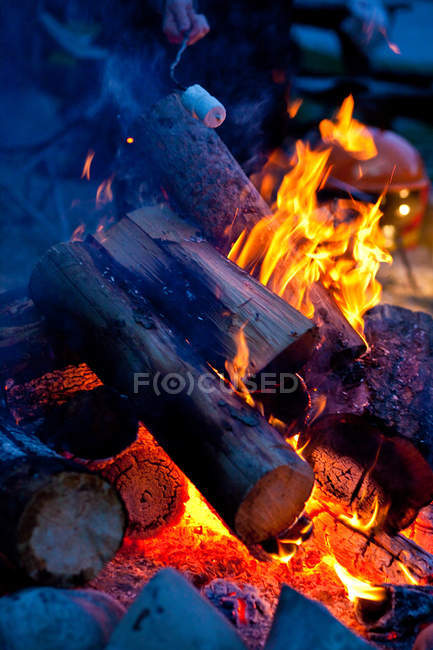 Vista cortada da pessoa assar marshmallows enquanto no acampamento . — Fotografia de Stock