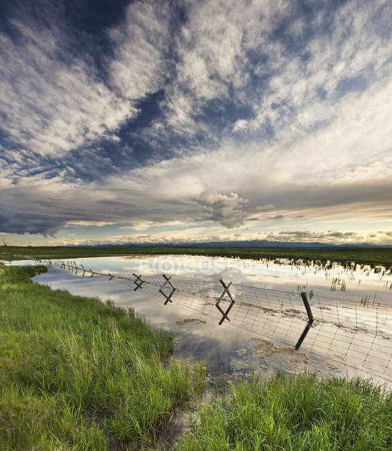 Weide und Zaun im Quellwasser bei Cochrane, Alberta, Kanada. — Stockfoto