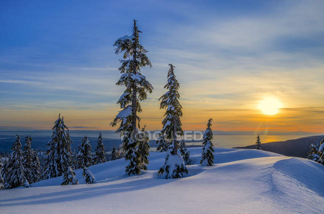 Pôr do sol de inverno em Mount Seymour Provincial Park, Colúmbia Britânica, Canadá — Fotografia de Stock