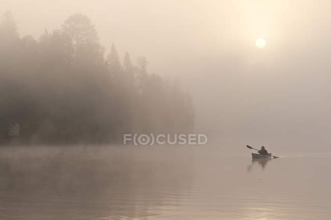 Man paddling solo canoa em Oxtongue Lake, Muskoka, Ontário . — Fotografia de Stock