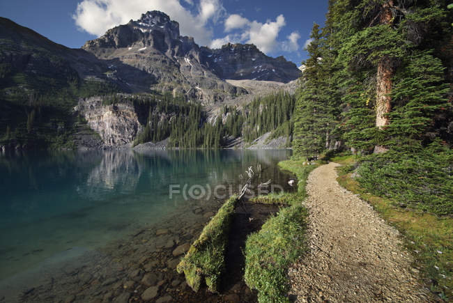 Pathway at Lake Ohara with Mount Lefroy in Yoho National Park, British Columbia, Canada — Stock Photo