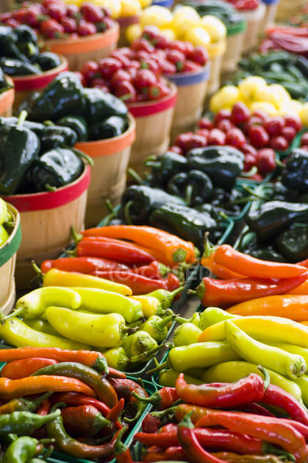 Fresh colorful peppers and vegetables on display at market. — Stock Photo