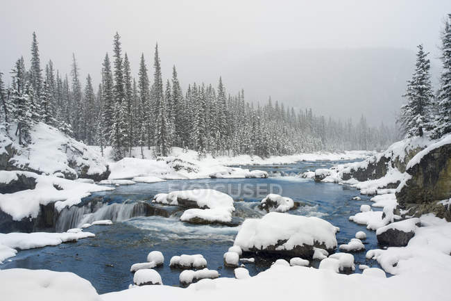 Elbow Falls in winter, Elbow Falls Provincial Park, Kananaskis Country, Alberta, Canadá - foto de stock