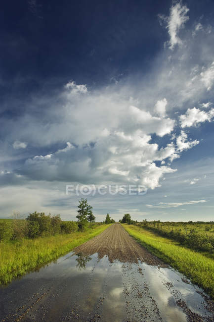 Route de campagne après une tempête de pluie près de Cochrane, Alberta, Canada . — Photo de stock