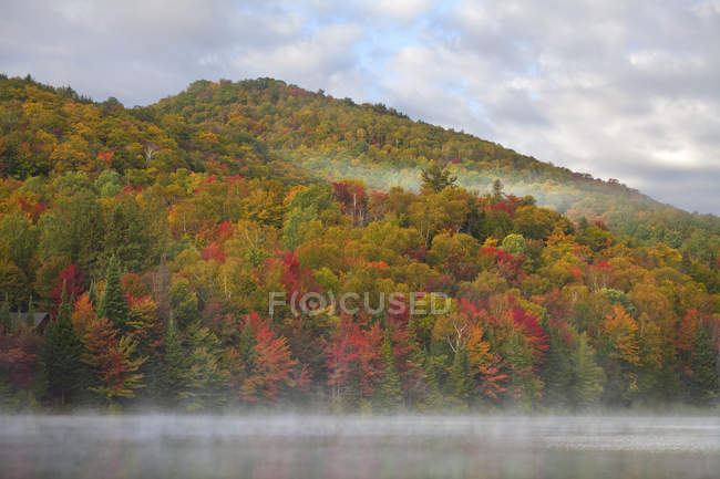 Follaje otoñal de bosque junto al lago Renaud en Laurentians cerca de Morin-Heights, Quebec - foto de stock