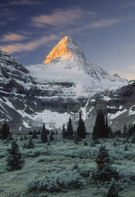 Snow covered mountains and trees in Mount Assiniboine Provincial Park, British Columbia, Canada. — Stock Photo