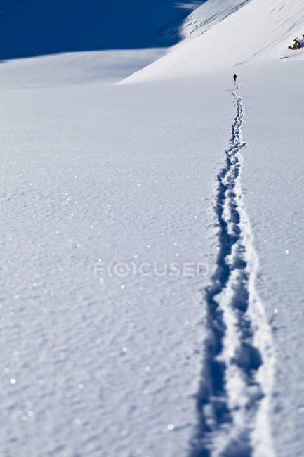Silhouette d'un homme faisant du ski de randonnée le long d'un sentier dans le parc provincial Peter Lougheed, Kananaskis, Alberta, Canada — Photo de stock