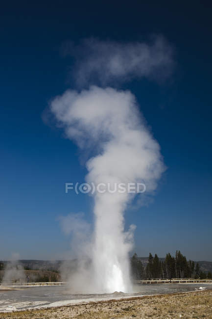 Cuire à la vapeur de Daisy Geyser dans Upper Geyser Basin, Parc National de Yellowstone, Wyoming, Usa — Photo de stock
