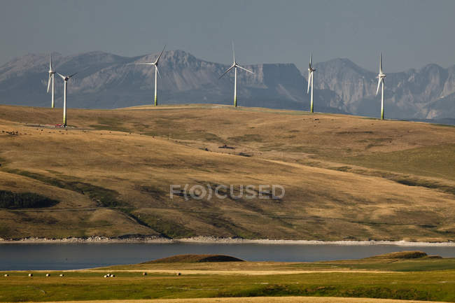 Molinos de viento generadores de energía cerca de Pincher Creek, Alberta, Canadá . - foto de stock