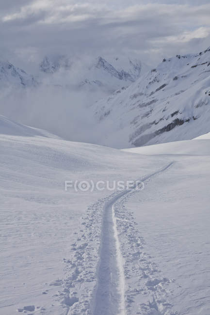 Alpine skin track on snow at Icefall Lodge, British Columbia, Canada — Stock Photo