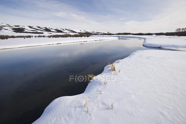 Gras am schneebedeckten Ufer des Flusses qu appelle, qu appelle Valley, saskatchewan, canada — Stockfoto