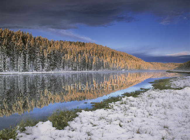 Nieve en la orilla del lago Winchell en el bosque de Alberta, Canadá . - foto de stock